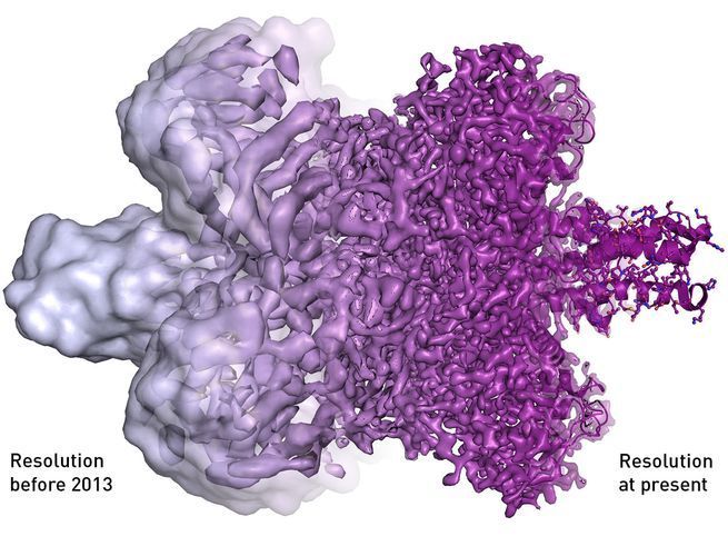 The resolution progression of cryo-EM. © Martin Högbom, Stockholm University